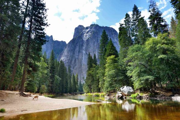 yosemite-national-park-NPSUMMEXP0418-153d342f890648478c556eb7005ebe77 yosemite-national-park-NPSUMMEXP0418-153d342f890648478c556eb7005ebe77
